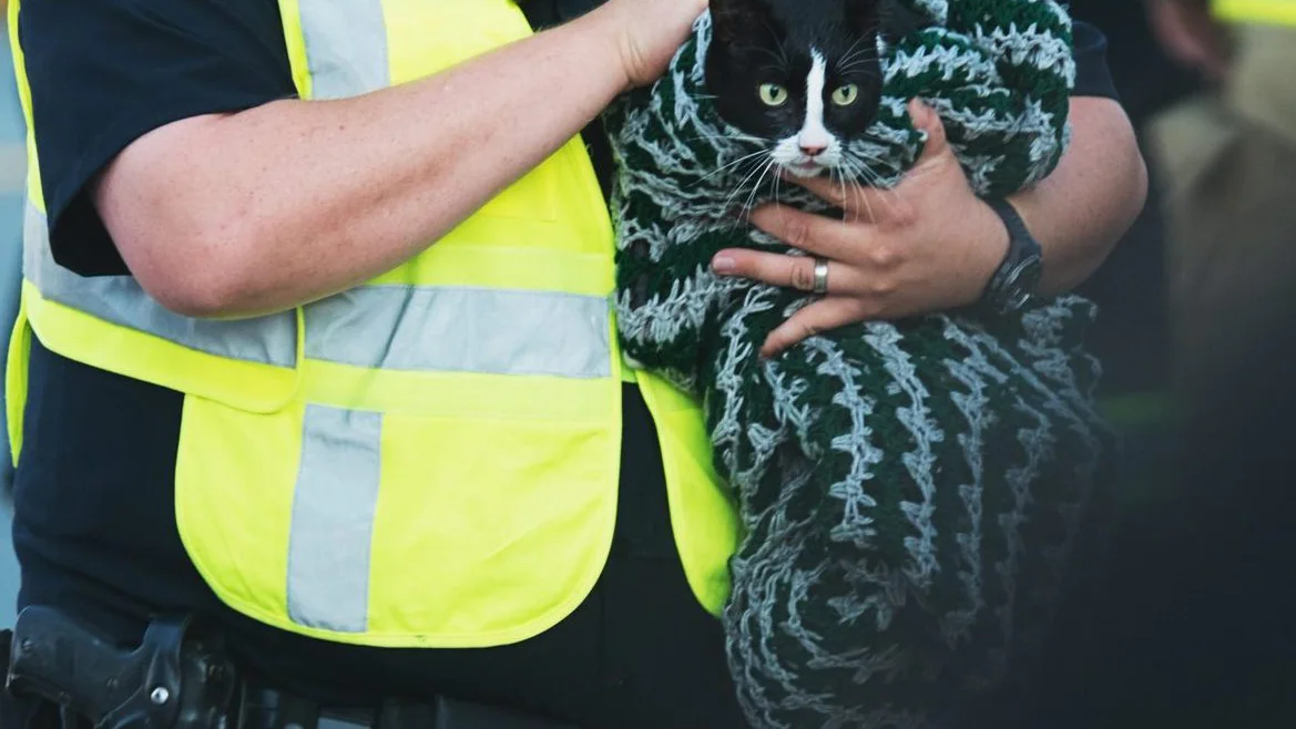 operatori tecnici soccorso animali